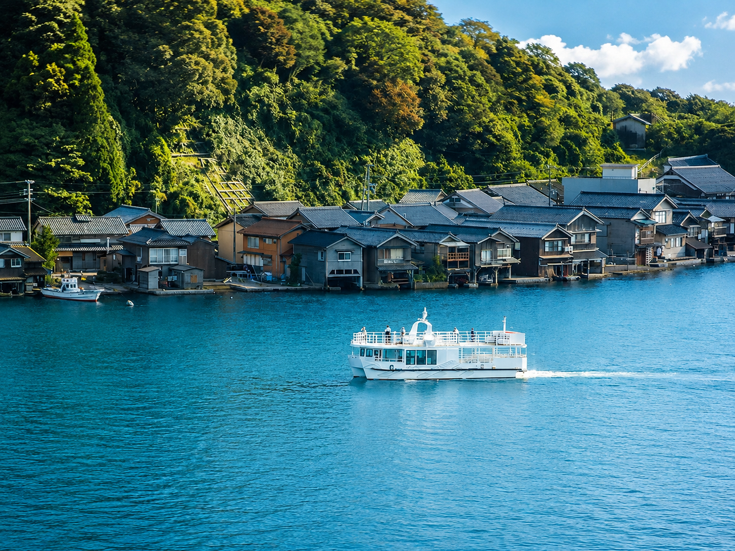 伊根舟屋觀光船